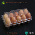caixas de ovos de pato para venda